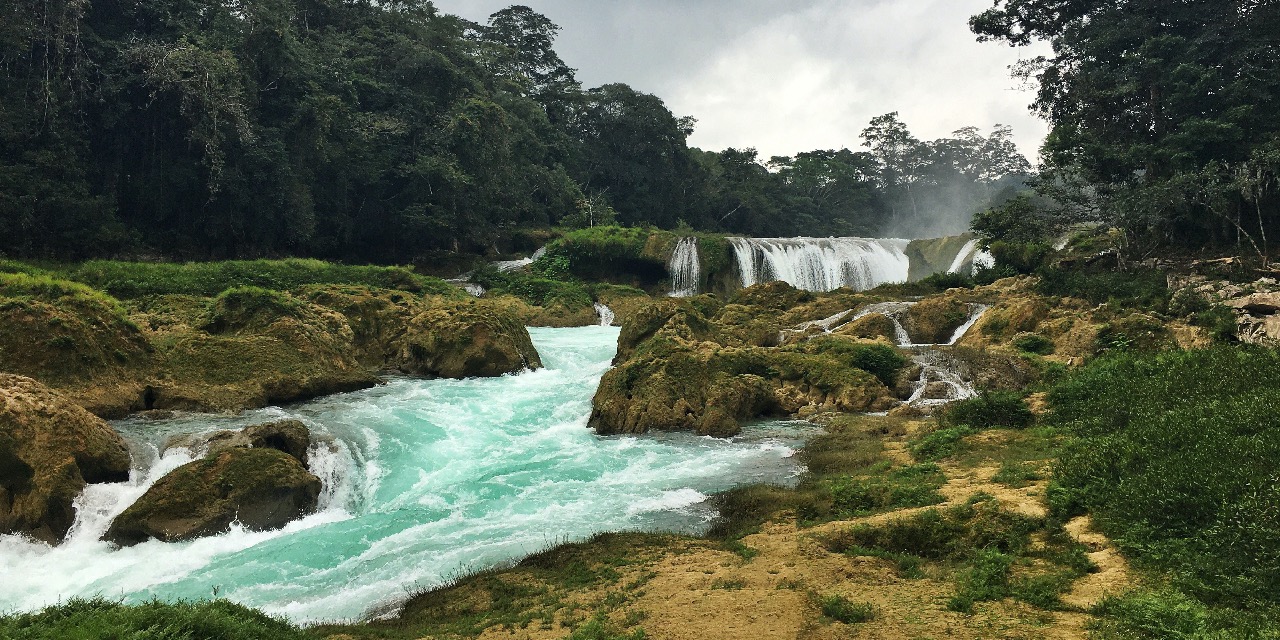 Descubre M Xico Un Pa S Megadiverso